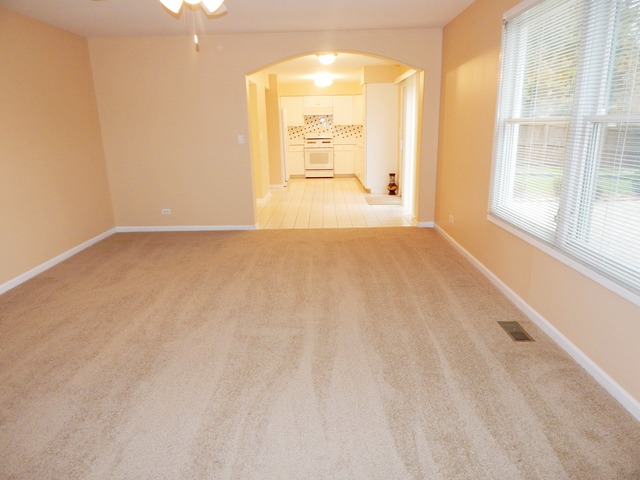 1039 Trillium Ln, Bartlett, IL 60103 photo 10