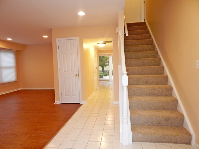 1039 Trillium Ln, Bartlett, IL 60103 photo 3