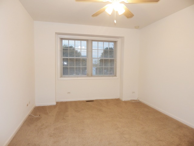1039 Trillium Ln, Bartlett, IL 60103 photo 13