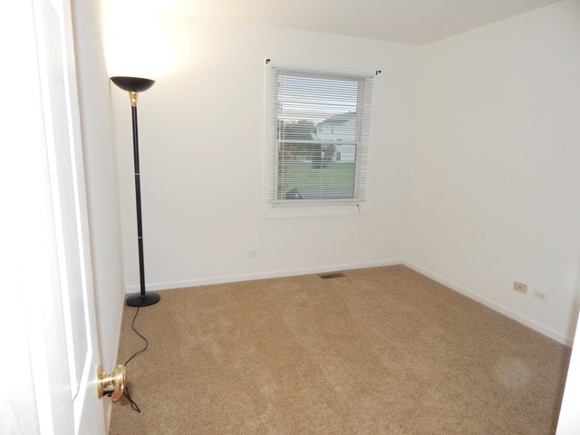 1039 Trillium Ln, Bartlett, IL 60103 photo 14