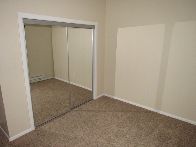 190 E 1st St, Braidwood, IL 60408 photo 11