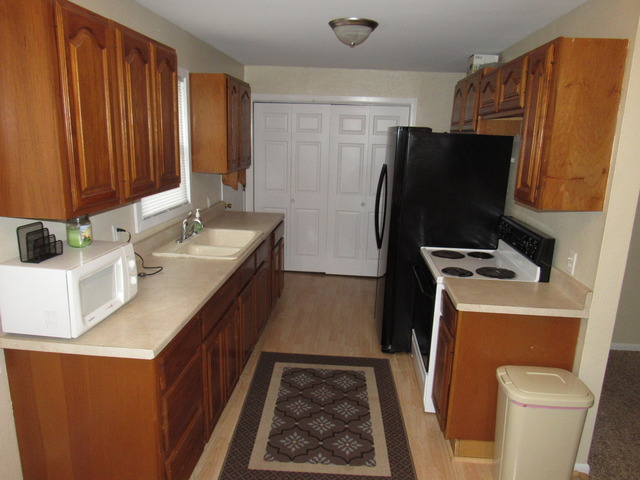 190 E 1st St, Braidwood, IL 60408 photo 8