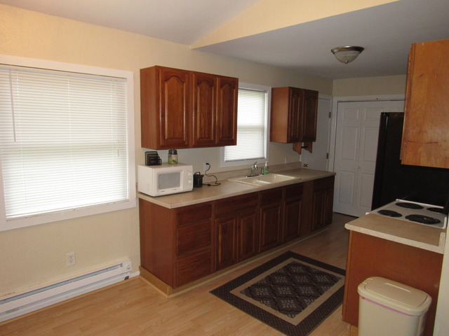 190 E 1st St, Braidwood, IL 60408 photo 7