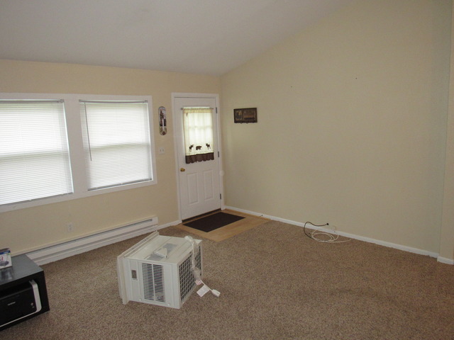 190 E 1st St, Braidwood, IL 60408 photo 5