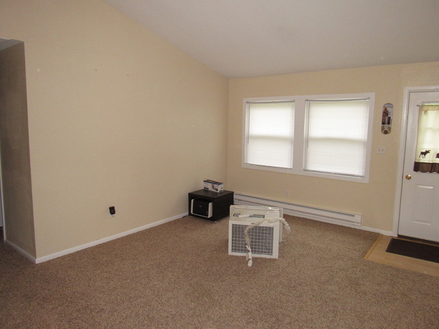 190 E 1st St, Braidwood, IL 60408 photo 4