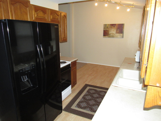 190 E 1st St, Braidwood, IL 60408 photo 6