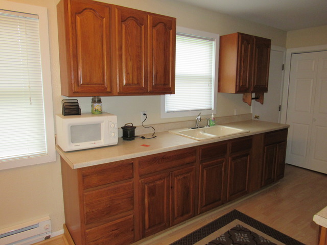 190 E 1st St, Braidwood, IL 60408 photo 9