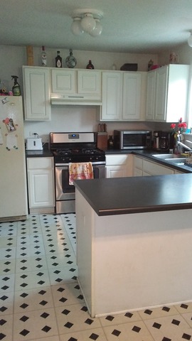 5913 Lake Pointe Dr, Plainfield, IL 60586 photo 6