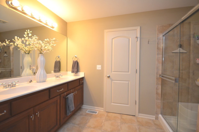 26753 Lindengate Cir, Plainfield, IL 60585 photo 19