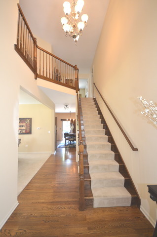 26753 Lindengate Cir, Plainfield, IL 60585 photo 16