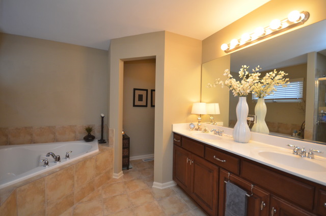 26753 Lindengate Cir, Plainfield, IL 60585 photo 20