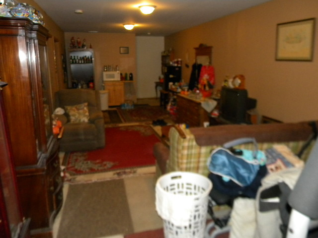 411 Elder Dr, Round Lake Park, IL 60073 photo 12