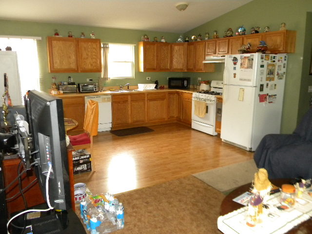 411 Elder Dr, Round Lake Park, IL 60073 photo 6