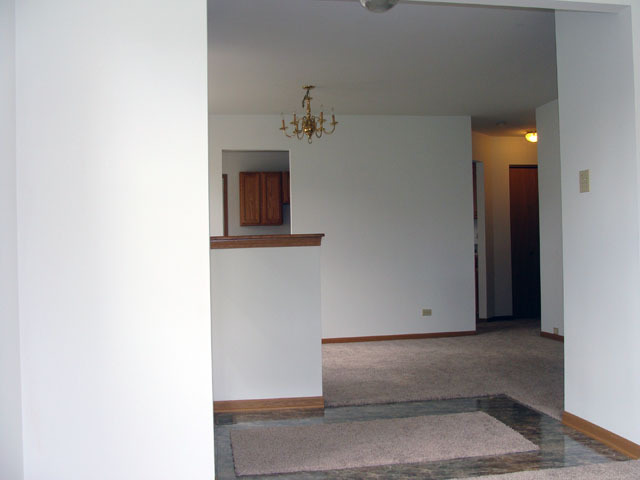 25 Cunningham Ln, Park Forest, IL 60466 photo 10