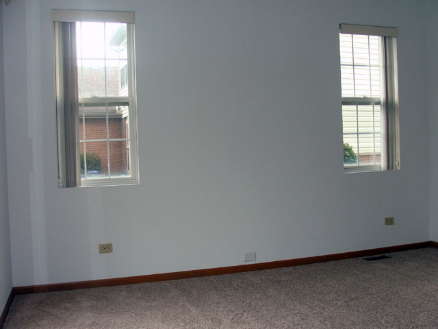 25 Cunningham Ln, Park Forest, IL 60466 photo 9