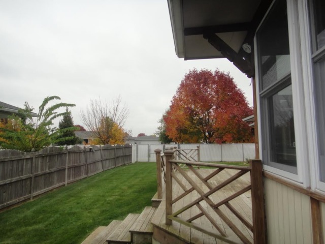 6601 Neilis Ln, Plainfield, IL 60586 photo 4
