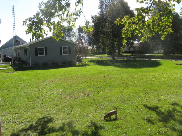 1355 Mabel Ct, Morris, IL 60450 photo 5