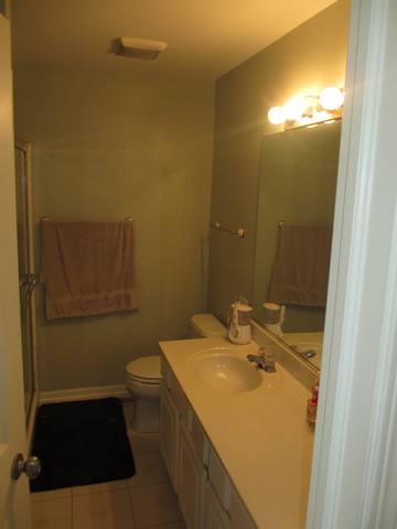 1126 Delta Dr, Elgin, IL 60123 photo 20