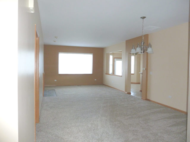 21104 W Braxton Ln, Plainfield, IL 60544 photo 2