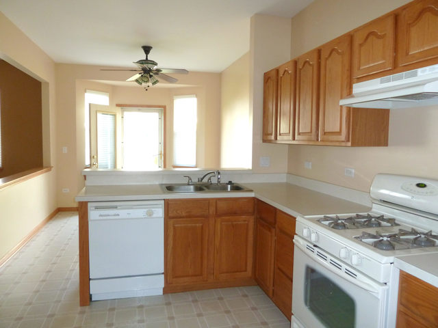 21104 W Braxton Ln, Plainfield, IL 60544 photo 3