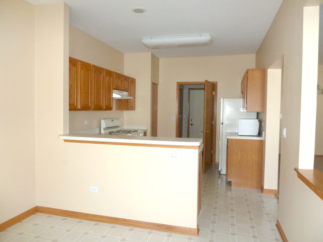 21104 W Braxton Ln, Plainfield, IL 60544 photo 7