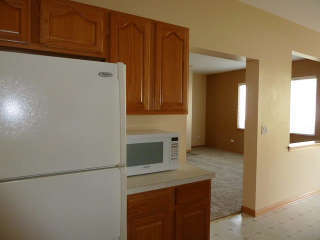 21104 W Braxton Ln, Plainfield, IL 60544 photo 5