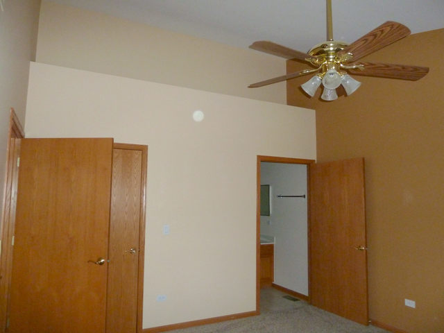 21104 W Braxton Ln, Plainfield, IL 60544 photo 10