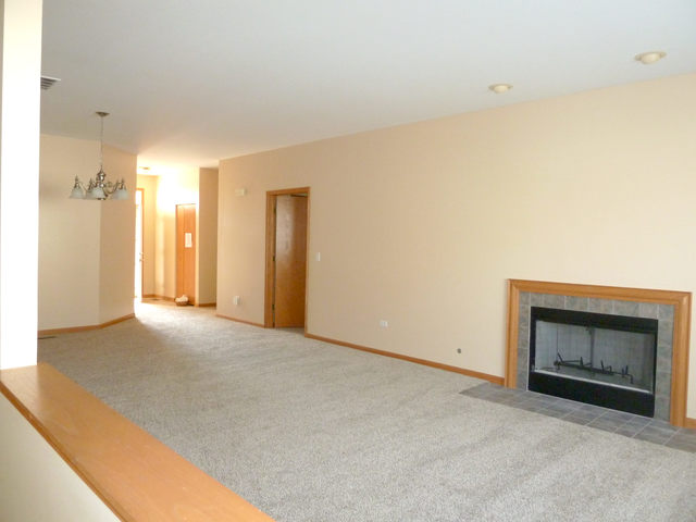 21104 W Braxton Ln, Plainfield, IL 60544 photo 12