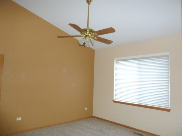 21104 W Braxton Ln, Plainfield, IL 60544 photo 9