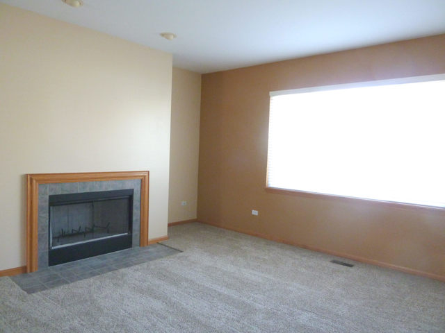21104 W Braxton Ln, Plainfield, IL 60544 photo 11