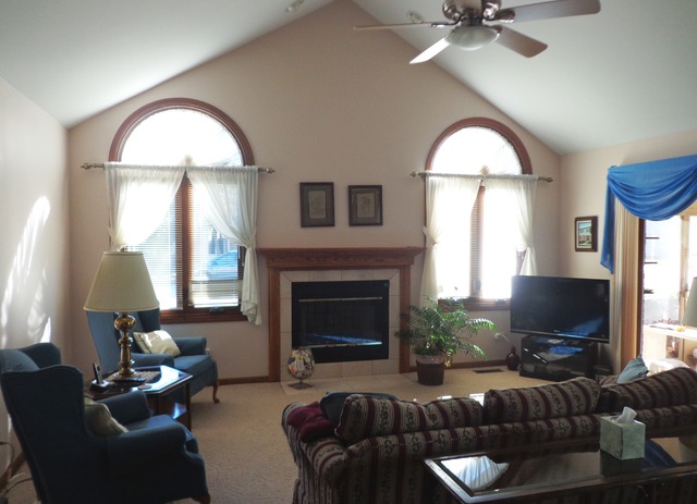 6501 Scotch Pine Dr, Tinley Park, IL 60477 photo 4