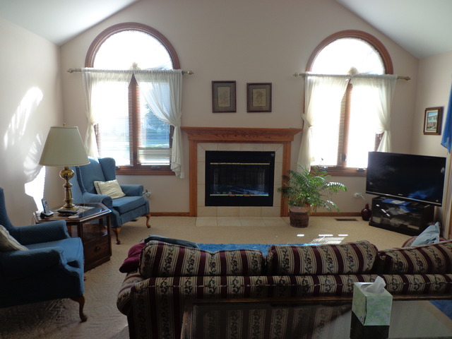 6501 Scotch Pine Dr, Tinley Park, IL 60477 photo 3