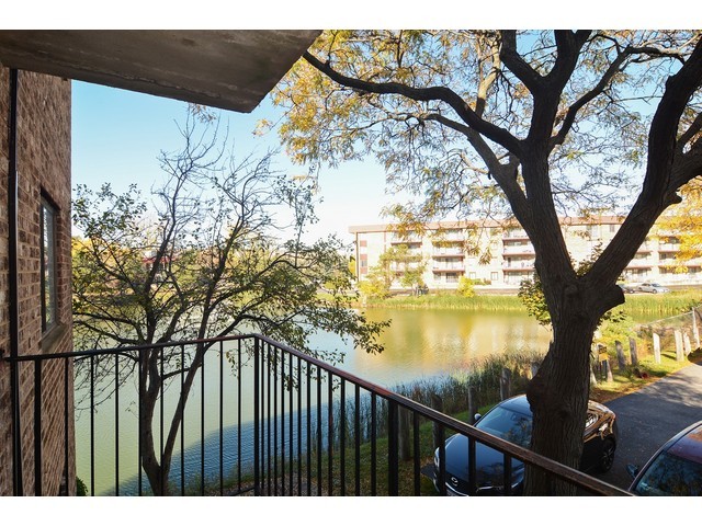 5513 Chateau Dr #4, Rolling Meadows, IL 60008 photo 10