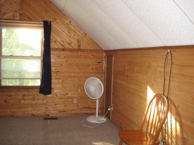514 W 3rd St, Braidwood, IL 60408 photo 16
