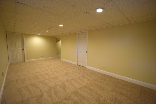 141 N Marion Ave, Bartlett, IL 60103 photo 14