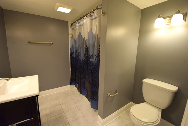 141 N Marion Ave, Bartlett, IL 60103 photo 17