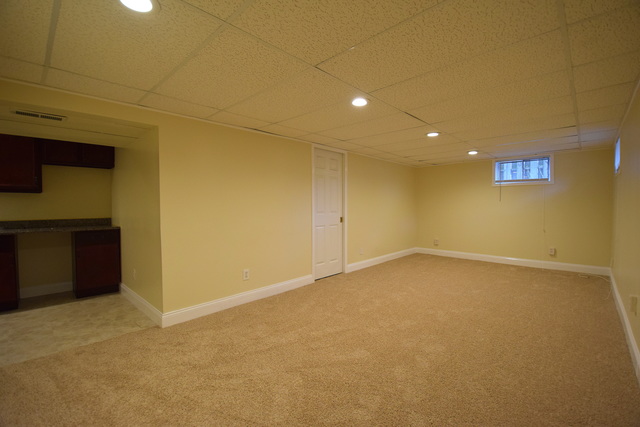 141 N Marion Ave, Bartlett, IL 60103 photo 15