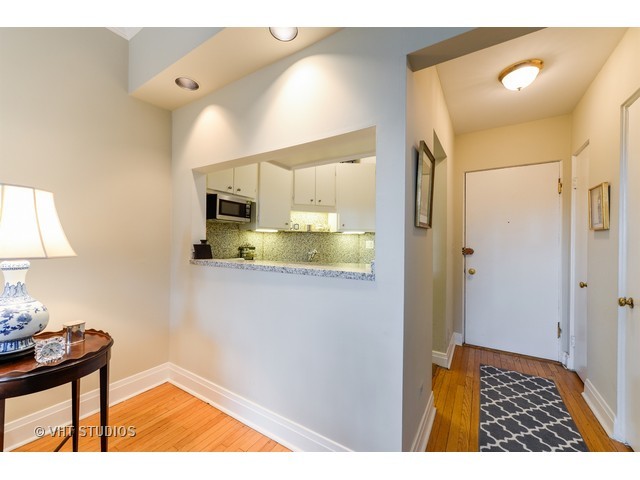 60 E Scott St #904, Chicago, IL 60610 photo 4