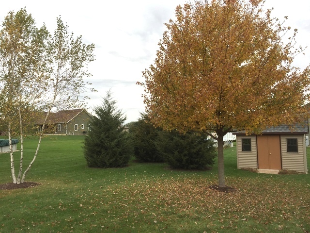 Undisclosed, Mendota, IL 61342 photo 18