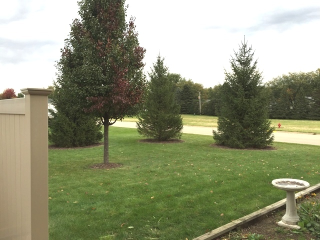 Undisclosed, Mendota, IL 61342 photo 19