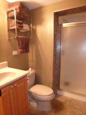 208 Walters Ln, Itasca, IL 60143 photo 8