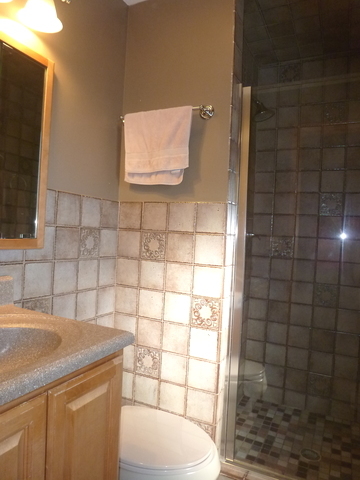 208 Walters Ln, Itasca, IL 60143 photo 10