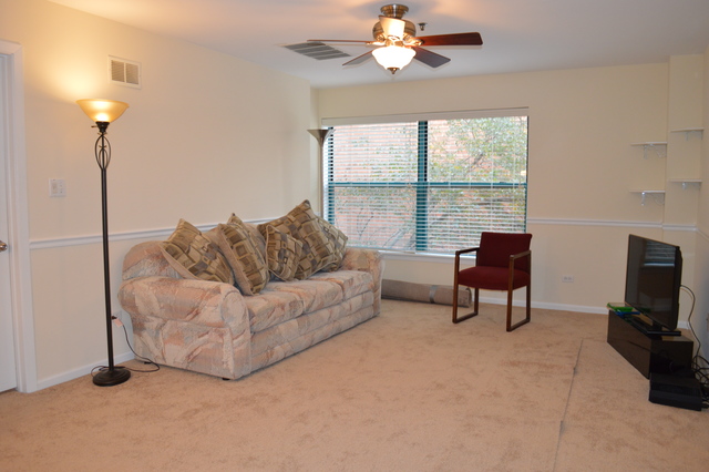 3255 Kirchoff Rd #211, Rolling Meadows, IL 60008 photo 7