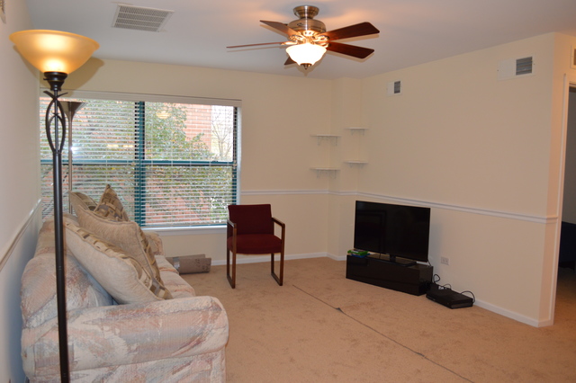 3255 Kirchoff Rd #211, Rolling Meadows, IL 60008 photo 8