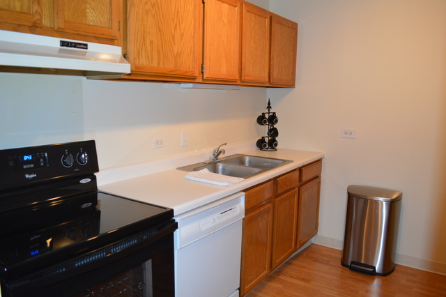 3255 Kirchoff Rd #211, Rolling Meadows, IL 60008 photo 3