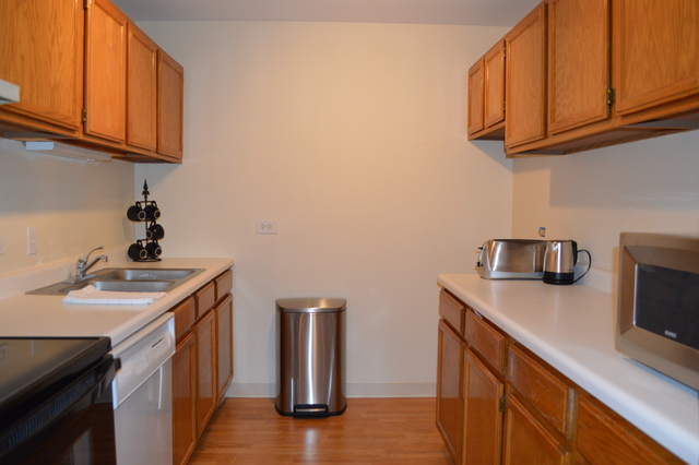 3255 Kirchoff Rd #211, Rolling Meadows, IL 60008 photo 2