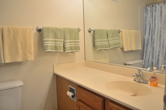 3255 Kirchoff Rd #211, Rolling Meadows, IL 60008 photo 16