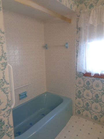 4145 Maple Ave, Stickney, IL 60402 photo 10