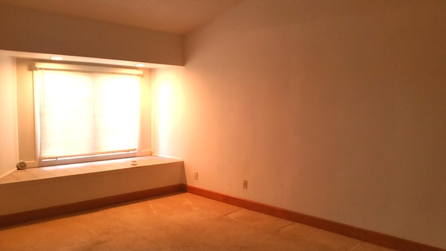295 Trask St, Manhattan, IL 60442 photo 5