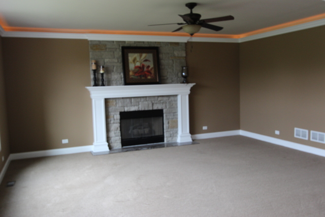 26508 Silverleaf Dr, Plainfield, IL 60585 photo 6